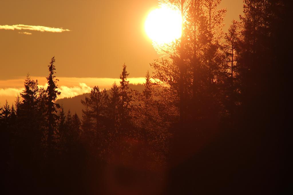 Trysilfjellet Leilighetshotell 객실 사진
